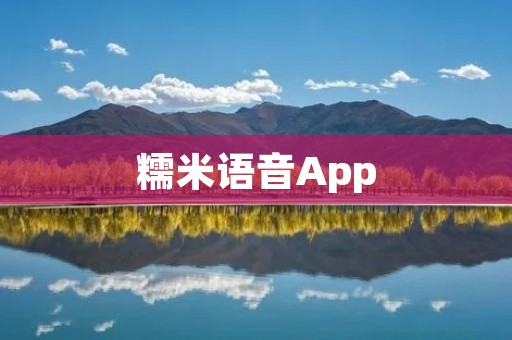 糯米语音App：让你的生活更便捷、智能化
