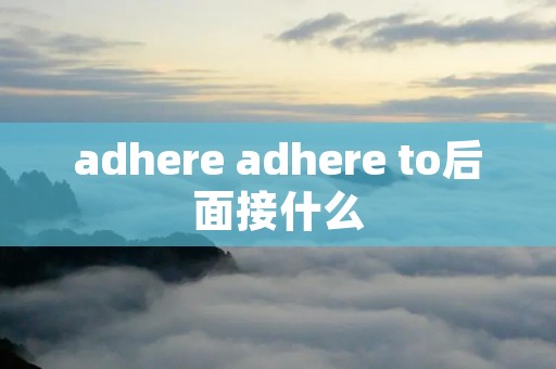 adhere adhere to后面接什么