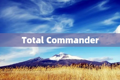 Total Commander：强大的文件管理工具