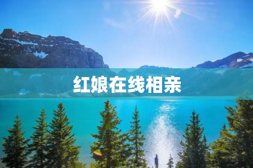 红娘在线相亲：让爱情遇见最佳拍档
