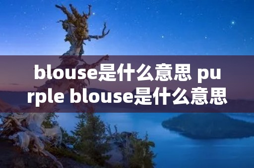 blouse是什么意思 purple blouse是什么意思