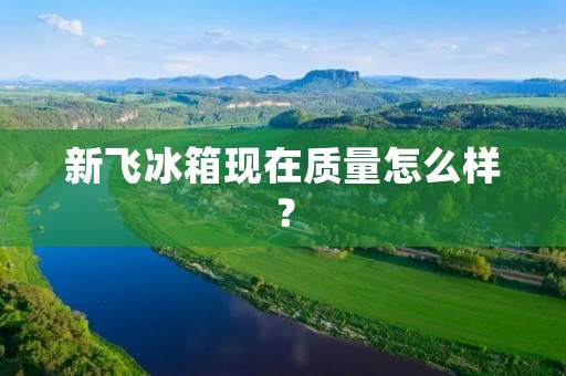 新飞冰箱现在质量怎么样? 新飞冰箱现在质量怎么样?
