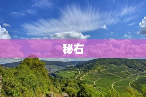 秘右：传承千年的中医秘方揭秘