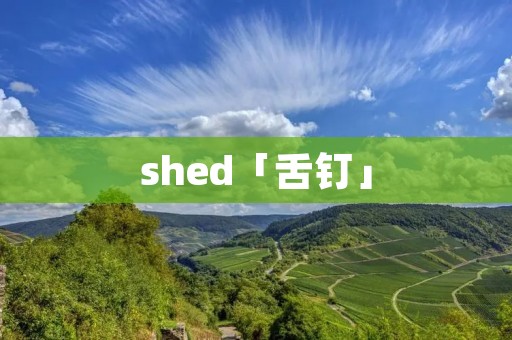 shed「舌钉」 shed「舌钉」