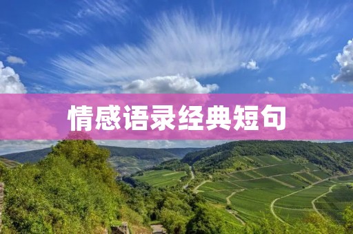 情感语录经典短句：感受生活的美好与哀愁