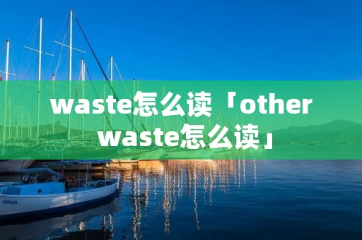 waste怎么读「other waste怎么读」