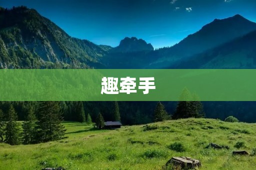 趣牵手：开启视频相亲新时代！