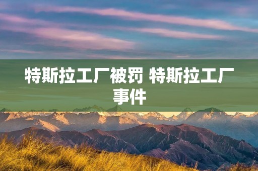 特斯拉工厂被罚 特斯拉工厂事件 特斯拉工厂被罚 特斯拉工厂事件