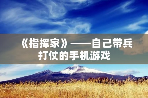 《指挥家》——自己带兵打仗的手机游戏
