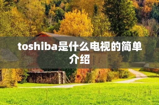 toshiba是什么电视的简单介绍