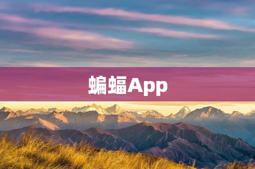 蝙蝠App：连接音乐人与音乐爱好者的桥梁