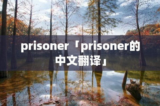 prisoner「prisoner的中文翻译」
