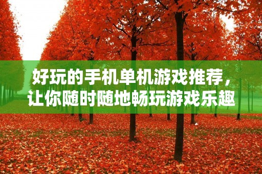好玩的手机单机游戏推荐，让你随时随地畅玩游戏乐趣！