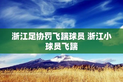 浙江足协罚飞踹球员 浙江小球员飞踹 浙江足协罚飞踹球员 浙江小球员飞踹