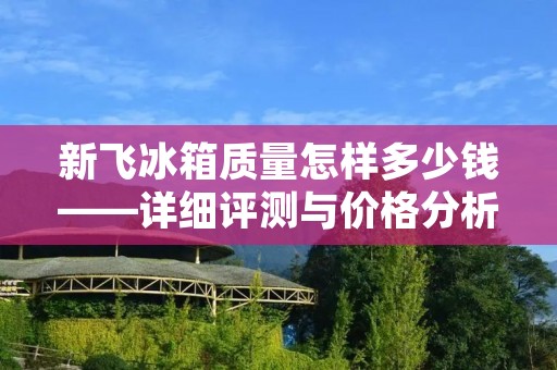 新飞冰箱质量怎样多少钱——详细评测与价格分析