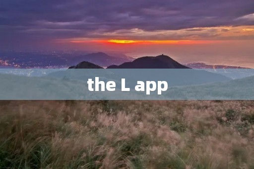 the L app:让生活更简单、便捷的智能生活助手 the L app:让生活更简单、便捷的智能生活助手