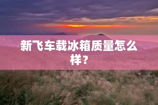 新飞车载冰箱质量怎么样？
