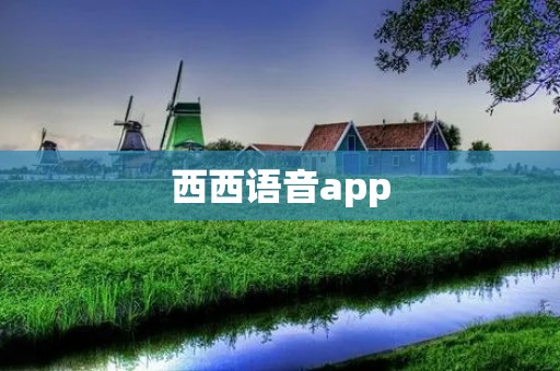 西西语音app:一款便捷实用的语音翻译工具 西西语音app:一款便捷实用的语音翻译工具