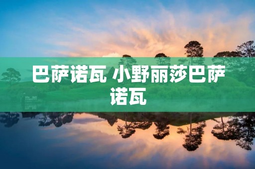 巴萨诺瓦 小野丽莎巴萨诺瓦