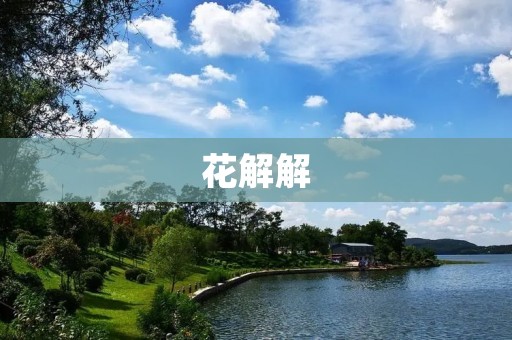 花解解：花草解读与心灵抚慰