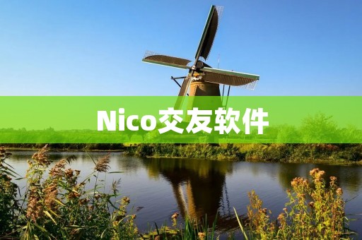 Nico交友软件：开启新的社交体验