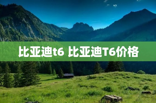 比亚迪t6 比亚迪T6价格 比亚迪t6 比亚迪T6价格