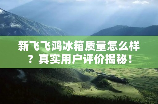 新飞飞鸿冰箱质量怎么样？真实用户评价揭秘！