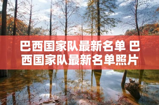 巴西国家队最新名单 巴西国家队最新名单照片