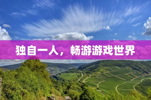 独自一人，畅游游戏世界