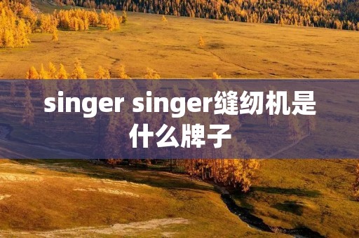 singer singer缝纫机是什么牌子