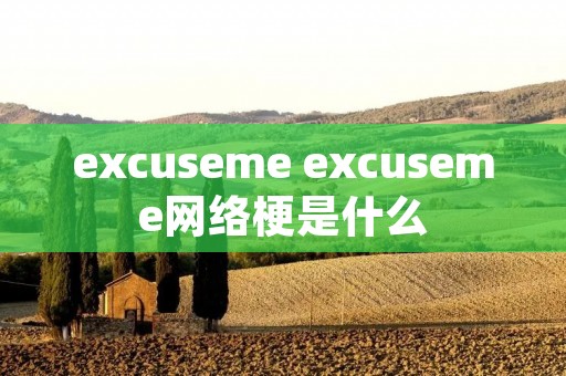 excuseme excuseme网络梗是什么