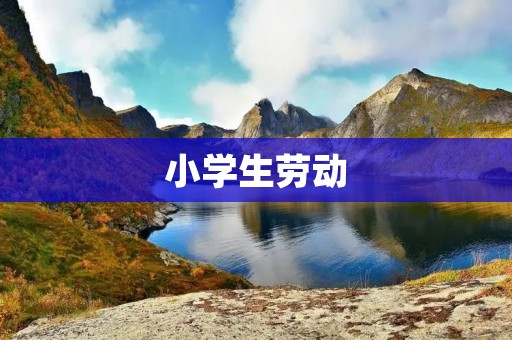 小学生劳动：点滴努力，成就未来
