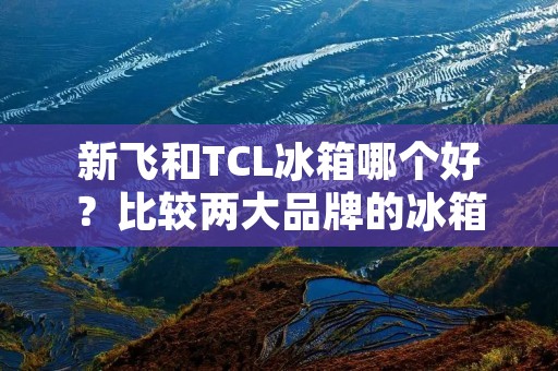 新飞和TCL冰箱哪个好？比较两大品牌的冰箱