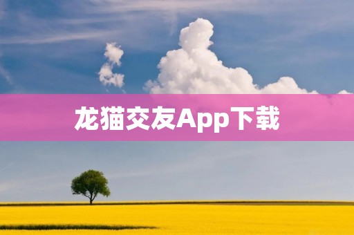 龙猫交友App下载：打破社交壁垒，寻找志同道合的伙伴