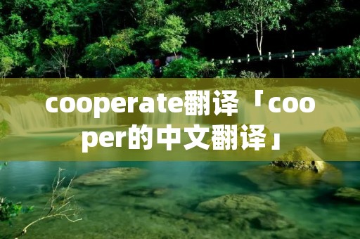 cooperate翻译「cooper的中文翻译」