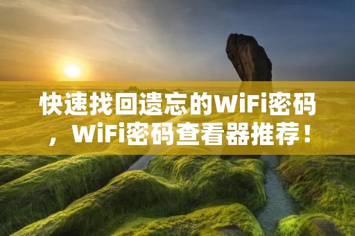 快速找回遗忘的WiFi密码，WiFi密码查看器推荐！