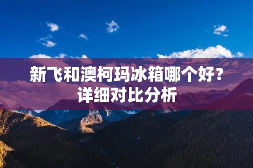 新飞和澳柯玛冰箱哪个好？详细对比分析