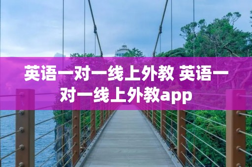 英语一对一线上外教 英语一对一线上外教app