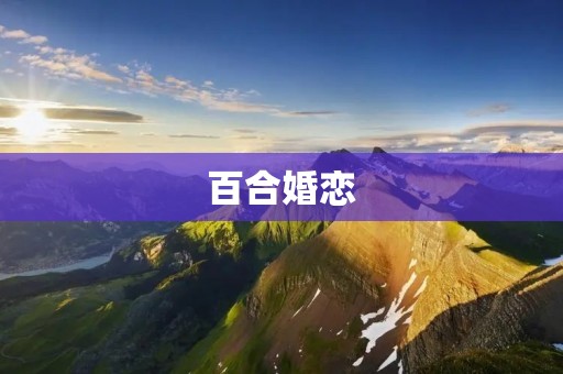 百合婚恋：探索真爱的视频交友平台