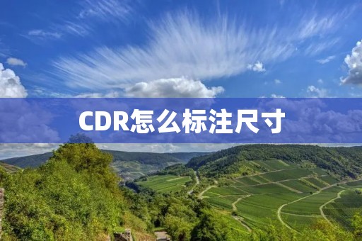 CDR怎么标注尺寸