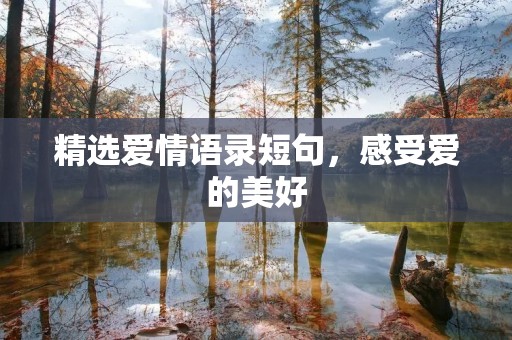 精选爱情语录短句，感受爱的美好