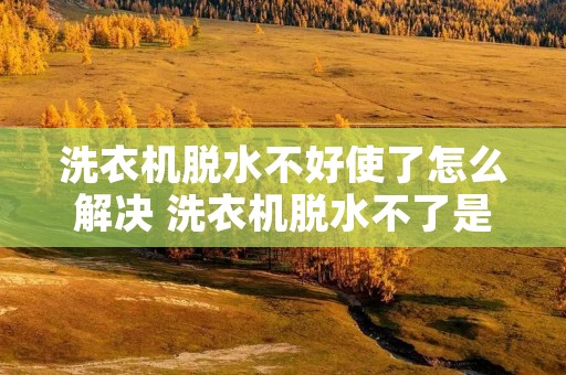 洗衣机脱水不好使了怎么解决 洗衣机脱水不了是什么问题? 洗衣机脱水不好使了怎么解决 洗衣机脱水不了是什么问题?
