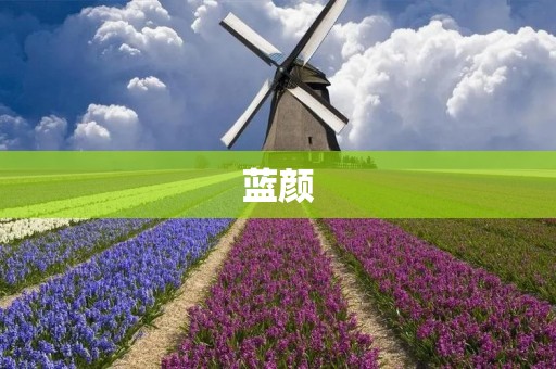 蓝颜：那个特殊的存在