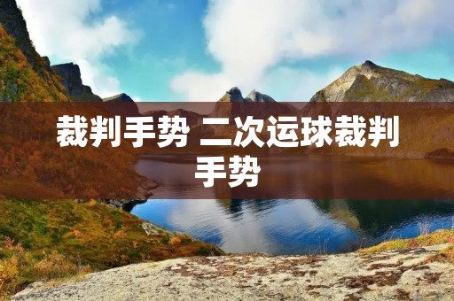 裁判手势 二次运球裁判手势