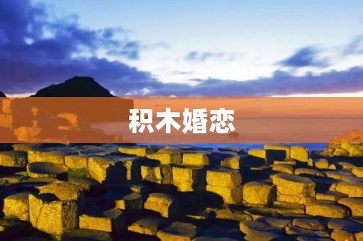 积木婚恋：构建美好爱情的基石