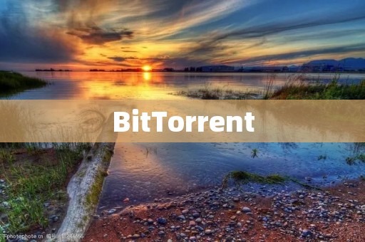 BitTorrent：P2P文件传输协议的领先者
