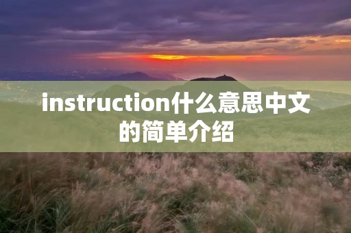 instruction什么意思中文的简单介绍