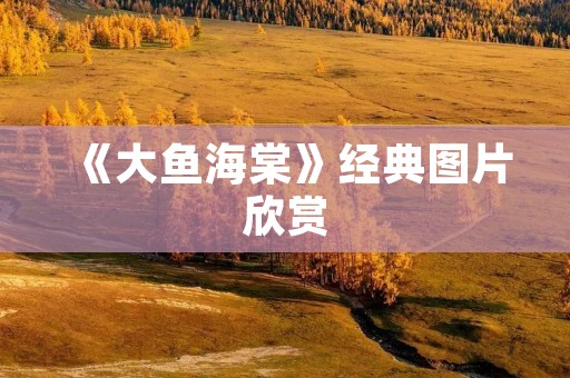 《大鱼海棠》经典图片欣赏