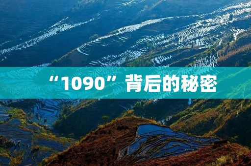 “1090”背后的秘密：深度解析数字在生活中的应用