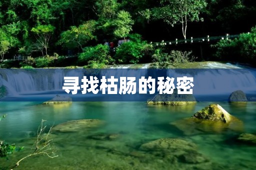 寻找枯肠的秘密：探索搜索枯肠的奥秘